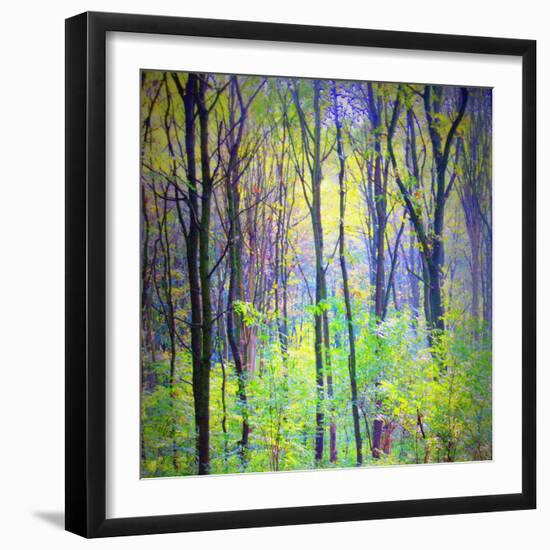 An Abstract Multicolorl Montage from the Forest, Photographic Layer Work-Alaya Gadeh-Framed Photographic Print