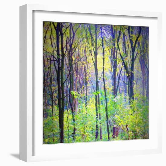 An Abstract Multicolorl Montage from the Forest, Photographic Layer Work-Alaya Gadeh-Framed Photographic Print