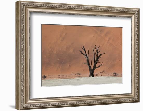 An Acacia Tree and Sand Dune in Namibia's  Namib-Naukluft National Park-Alex Saberi-Framed Photographic Print