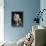 An Adorable Fluffy Kitten Looks up at Its Owner-null-Photographic Print displayed on a wall