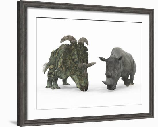 An Adult Albertaceratops Compared to a Modern Adult White Rhinoceros-Stocktrek Images-Framed Photographic Print