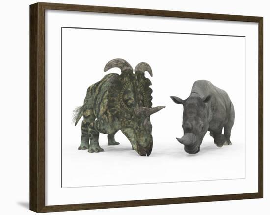 An Adult Albertaceratops Compared to a Modern Adult White Rhinoceros-Stocktrek Images-Framed Photographic Print