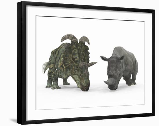 An Adult Albertaceratops Compared to a Modern Adult White Rhinoceros-Stocktrek Images-Framed Photographic Print