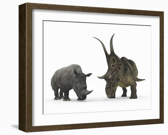 An Adult Diabloceratops Compared to a Modern Adult White Rhinoceros-Stocktrek Images-Framed Photographic Print