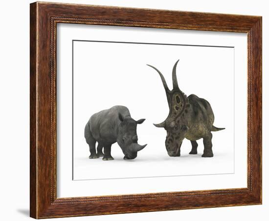 An Adult Diabloceratops Compared to a Modern Adult White Rhinoceros-Stocktrek Images-Framed Photographic Print