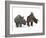 An Adult Einiosaurus Compared to a Modern Adult White Rhinoceros-Stocktrek Images-Framed Photographic Print