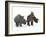 An Adult Einiosaurus Compared to a Modern Adult White Rhinoceros-Stocktrek Images-Framed Photographic Print