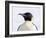 An adult emperor penguin (Aptenodytes forsteri), on the ice near Snow Hill Island, Weddell Sea-Michael Nolan-Framed Photographic Print