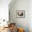 An Adult Female Ostrich at the Vina Grande Farm in Paredes De Escalona, Spain, May 21 2001-Denis Doyle-Framed Photographic Print displayed on a wall