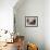 An Adult Female Ostrich at the Vina Grande Farm in Paredes De Escalona, Spain, May 21 2001-Denis Doyle-Framed Photographic Print displayed on a wall