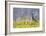 An Adult Female Willow Ptarmigan (Lagopus Lagopus) in Summer Plumage on the Snaefellsnes Peninsula-Michael Nolan-Framed Photographic Print