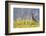 An Adult Female Willow Ptarmigan (Lagopus Lagopus) in Summer Plumage on the Snaefellsnes Peninsula-Michael Nolan-Framed Photographic Print