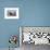 An Adult Killer Whale (Orcinus Orca) Surfaces Next to a Calf Off the Cumberland Peninsula-Michael Nolan-Framed Photographic Print displayed on a wall