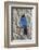 An Adult Steller's Jay (Cyanocitta Stelleri) in Rocky Mountain National Park-Michael Nolan-Framed Photographic Print