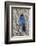 An Adult Steller's Jay (Cyanocitta Stelleri) in Rocky Mountain National Park-Michael Nolan-Framed Photographic Print