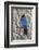 An Adult Steller's Jay (Cyanocitta Stelleri) in Rocky Mountain National Park-Michael Nolan-Framed Photographic Print