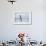 An Adult Wandering Albatross (Diomedea Exulans) in Flight Near Prion Island, Polar Regions-Michael Nolan-Framed Photographic Print displayed on a wall