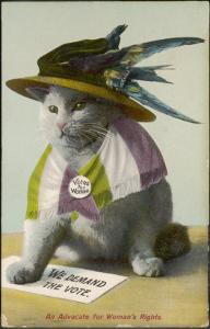 An Advocate for Women's Rights