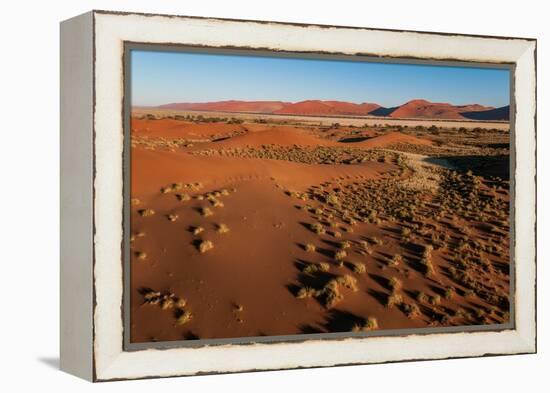 An aerial view of red sand dunes and vegetation in the Namib desert. Namibia.-Sergio Pitamitz-Framed Premier Image Canvas