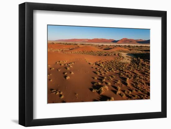 An aerial view of red sand dunes and vegetation in the Namib desert. Namibia.-Sergio Pitamitz-Framed Photographic Print