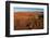 An aerial view of red sand dunes and vegetation in the Namib desert. Namibia.-Sergio Pitamitz-Framed Photographic Print