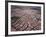 An Aerial View of the Residential Area of Las Vegas, October 2000-null-Framed Photographic Print