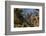 An aerial view of two southern giraffes, Giraffa camelopardalis. Okavango Delta, Botswana.-Sergio Pitamitz-Framed Photographic Print