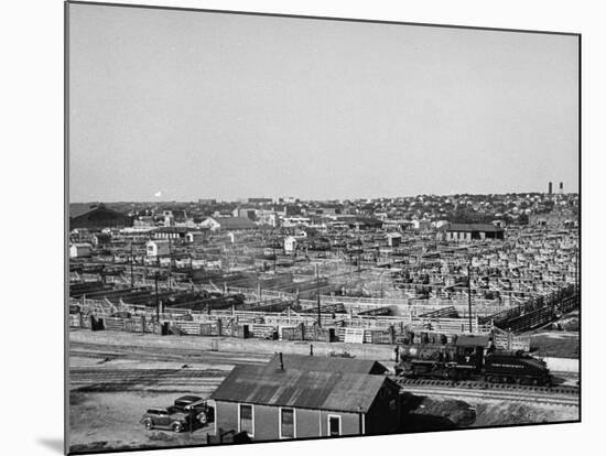 An Aerial View Showing the Fort Worth Stockyards-Carl Mydans-Mounted Premium Photographic Print