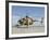 An Afghan Air Force MD-530F Helicopter at Shindand Air Base-Stocktrek Images-Framed Photographic Print