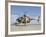 An Afghan Air Force MD-530F Helicopter at Shindand Air Base-Stocktrek Images-Framed Photographic Print