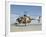 An Afghan Air Force MD-530F Helicopter at Shindand Air Base-Stocktrek Images-Framed Photographic Print