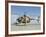 An Afghan Air Force MD-530F Helicopter at Shindand Air Base-Stocktrek Images-Framed Photographic Print