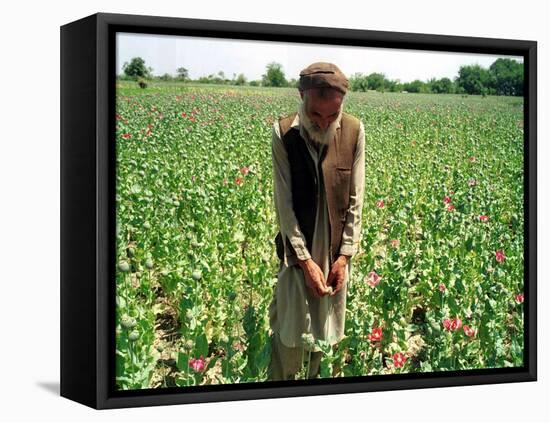 An Afghan Farmer Working-null-Framed Premier Image Canvas