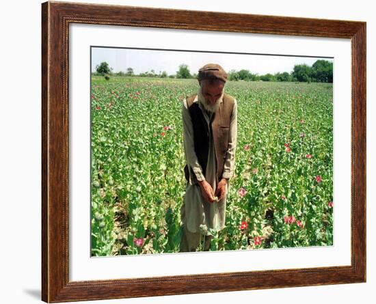 An Afghan Farmer Working-null-Framed Photographic Print