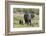 An African elephant (Loxodonta africana) with its calf, Khwai Concession, Okavango Delta, Botswana,-Sergio Pitamitz-Framed Photographic Print