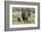 An African elephant (Loxodonta africana) with its calf, Khwai Concession, Okavango Delta, Botswana,-Sergio Pitamitz-Framed Photographic Print