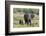 An African elephant (Loxodonta africana) with its calf, Khwai Concession, Okavango Delta, Botswana,-Sergio Pitamitz-Framed Photographic Print