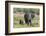 An African elephant (Loxodonta africana) with its calf, Khwai Concession, Okavango Delta, Botswana,-Sergio Pitamitz-Framed Photographic Print