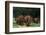 An African elephant parade walking. Voi, Tsavo, Kenya-Sergio Pitamitz-Framed Photographic Print