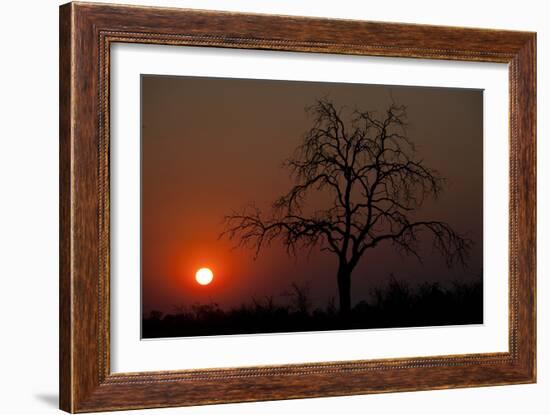 An African Sunset With An Orange Sky And The Silhouette Of A Lone Tree-Karine Aigner-Framed Photographic Print
