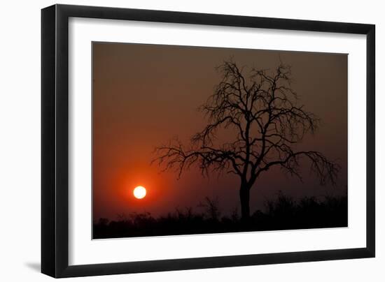 An African Sunset With An Orange Sky And The Silhouette Of A Lone Tree-Karine Aigner-Framed Photographic Print