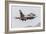 An Aggressor F-16C Fighting Falcon of the U.S. Air Force-Stocktrek Images-Framed Photographic Print