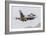 An Aggressor F-16C Fighting Falcon of the U.S. Air Force-Stocktrek Images-Framed Photographic Print