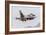 An Aggressor F-16C Fighting Falcon of the U.S. Air Force-Stocktrek Images-Framed Photographic Print