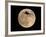 An Airliner is Silhouetted against a Full Moon-null-Framed Photographic Print