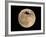 An Airliner is Silhouetted against a Full Moon-null-Framed Photographic Print