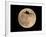 An Airliner is Silhouetted against a Full Moon-null-Framed Photographic Print