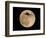 An Airliner is Silhouetted against a Full Moon-null-Framed Photographic Print