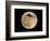 An Airliner is Silhouetted against a Full Moon-null-Framed Photographic Print