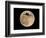 An Airliner is Silhouetted against a Full Moon-null-Framed Photographic Print